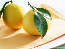 Lemon-Wallpaper-fruit-6334028-1024-768