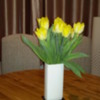 09 tulips