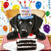 Black-Labrador-Birthday-Card-For-Me-Funny-Dog